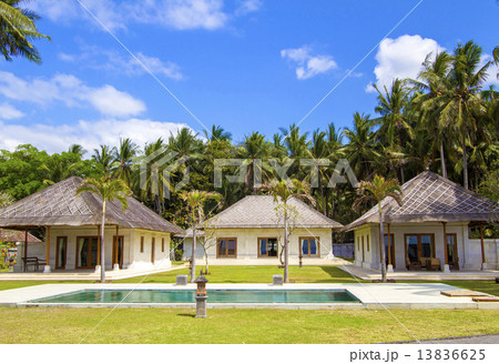 Tropical palms. 13836625
