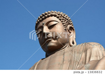 冬の聚楽園大仏 13836632