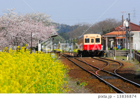 小湊鉄道 春景 小湊鉄道 春景 13836874