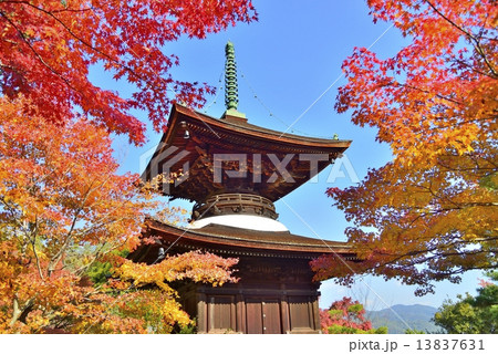 京都の秋 13837631