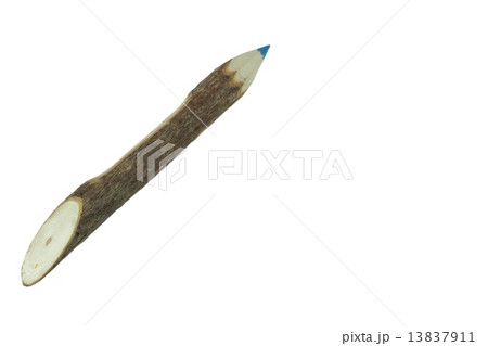 Big Wooden Wood Tree Bark Timber Twig Log Color Pencil Big Wooden Wood Tree Bark Timber Twig Log Color Pencil 13837911