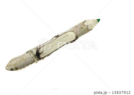 Close-up of a Bark Covered Pencil Close-up of a Bark Covered Pencil 13837912