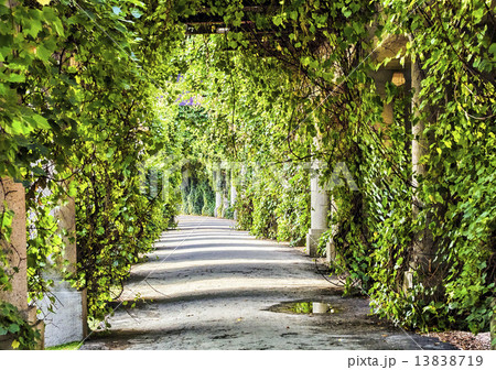 archway in the park at summer. archway in the park at summer. 13838719