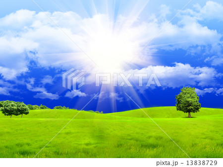 Green glade 13838729