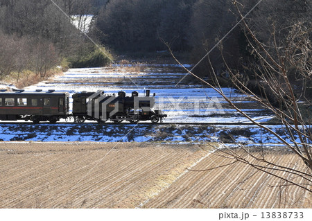 真岡鐵道「冬の田園風景を走るSLもおか号」 真岡鐵道「冬の田園風景を走るSLもおか号」 13838733