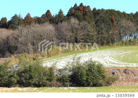 丘の雪模様 13839569