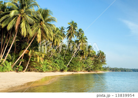 Uncrowded Tropical Island Shore Uncrowded Tropical Island Shore 13839954
