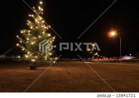 セルチャルトルナネースのクリスマスツリー(Christmas tree in Seltjarnarnes) 13841721