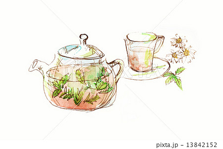 ハーブティー 飲み物 花 植物 葉 香り 味 健康 ヘルシー 茶葉 ストレス解消 リラックス のイラスト素材