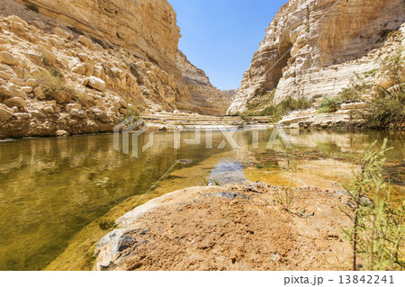 natural source 13842241