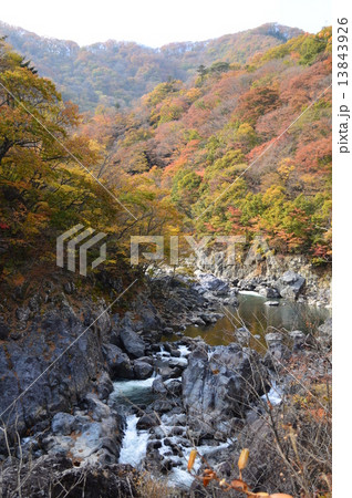 龍王峡 13843926