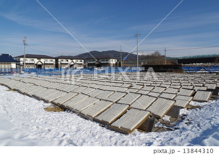 角寒天生産風景　（長野県諏訪地方） 13844310