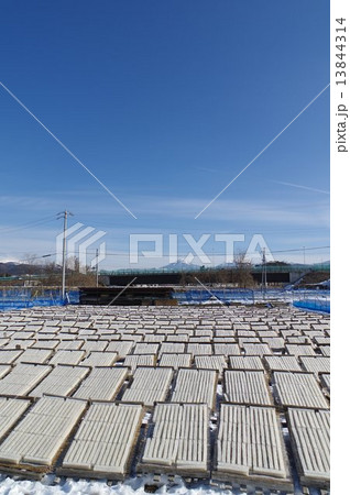 角寒天生産風景 (長野県諏訪地方) 角寒天生産風景 (長野県諏訪地方) 13844314