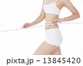 ダイエット 13845420
