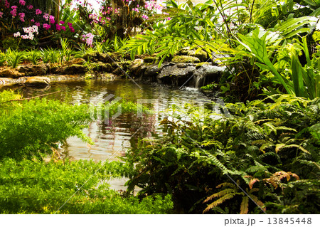 Waterfall in garden design. 13845448