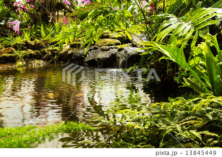 Waterfall in garden design. 13845449