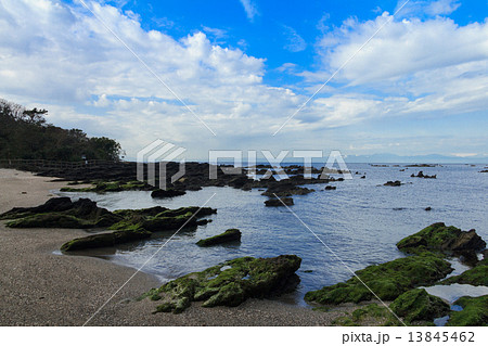 佐島の２月 13845462