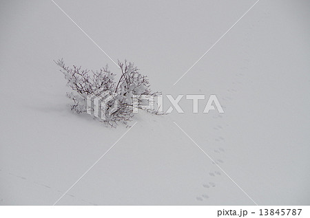 雪山の風景 雪山の風景 13845787