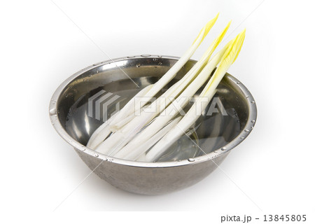 雪うるい 13845805