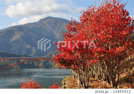 宮ヶ瀬湖の秋 宮ヶ瀬湖の秋 13845912