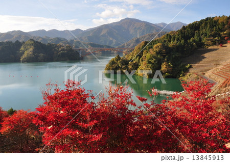 宮ヶ瀬湖の秋 13845913