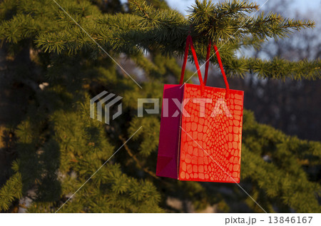 Romantic surprise, a gift hanging from a branch 13846167