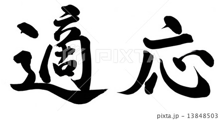 適応 13848503