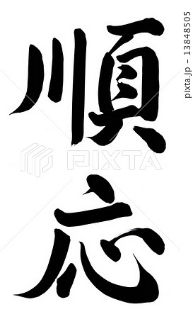 順応 13848505