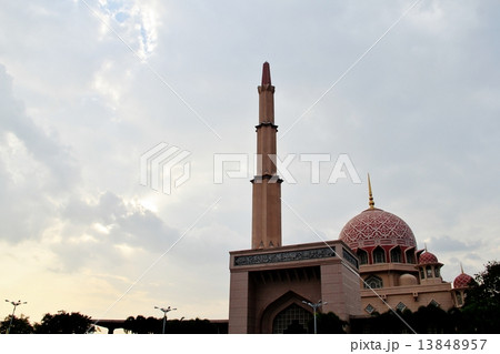 ピンクモスク 13848957