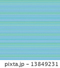 ボーダー柄 13849231