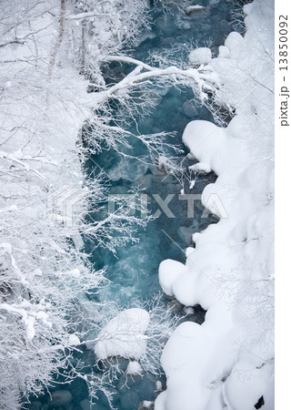 美瑛雪景色 13850092