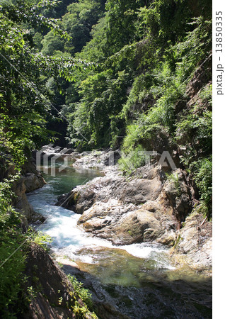 鬼怒川の渓流 鬼怒川の渓流 13850335
