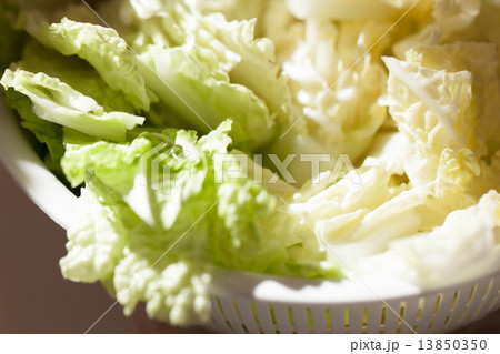 a Chinese cabbage a Chinese cabbage 13850350