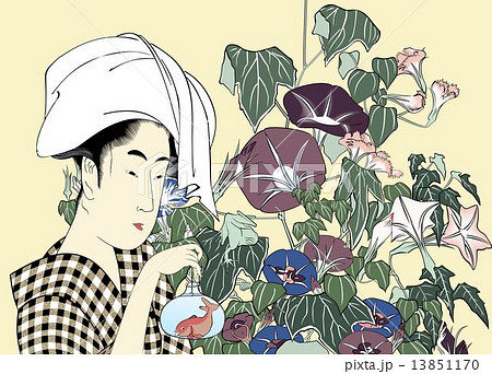 朝顔と金魚のイラスト素材