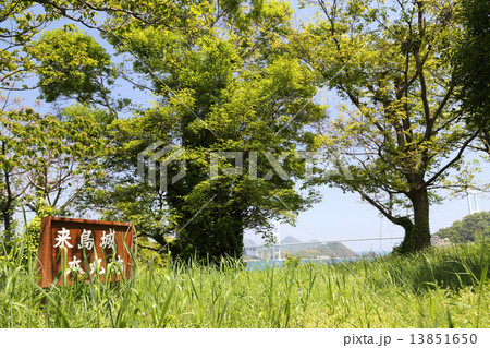 来島城址 来島城址 13851650