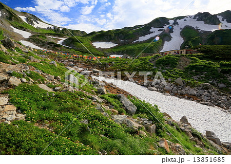 剱沢キャンプ場から剱御前方面の稜線 13851685