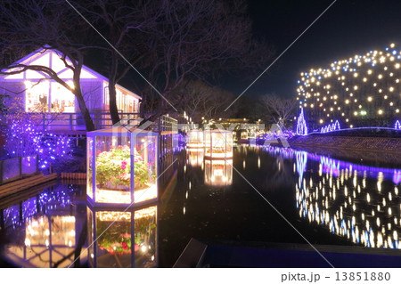 足利フラワーパーク　イルミネーション 13851880