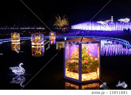 足利フラワーパーク　イルミネーション 13851881