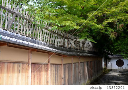 京都　「ねねの道」周辺の風景 13852201