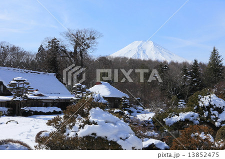 日本庭園と富士山 日本庭園と富士山 13852475