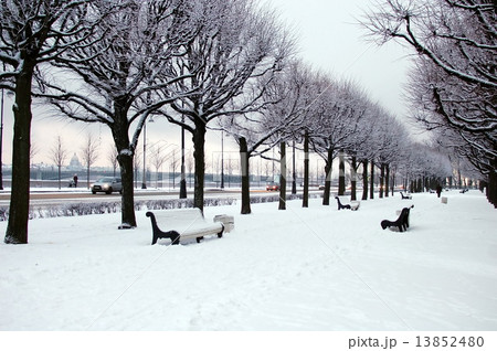 Winter in St. Petersburg, Russia. Snow-covered alley Winter in St. Petersburg, Russia. Snow-covered alley 13852480