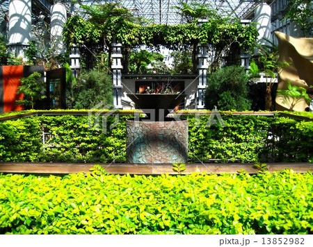 温室の花々 13852982