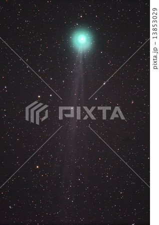 ラブジョイ彗星 ラブジョイ彗星 13853029