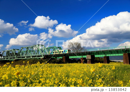 平成筑豊鉄道　ちくまる 13853042