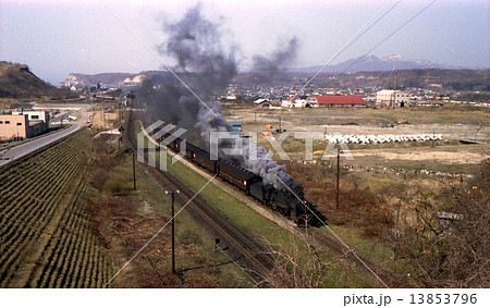 Ｄ51牽引旅客列車　北海道　室蘭本線白老　昭和50年 13853796