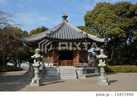 蓮華院誕生寺(奥之院) 蓮華院誕生寺(奥之院) 13853900