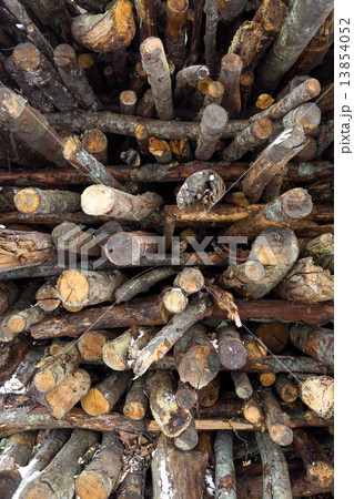 texture of chopped logs lying in stack texture of chopped logs lying in stack 13854052