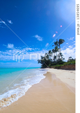 ラニカイビーチ 13854695