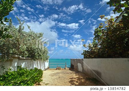 ビーチへの道 ビーチへの道 13854782
