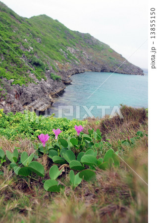 南島の鮫池(父島南西沖の小さな無人島) 南島の鮫池(父島南西沖の小さな無人島) 13855150